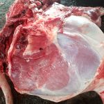 JD Pork Steak