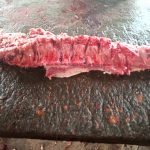 Pork Chops