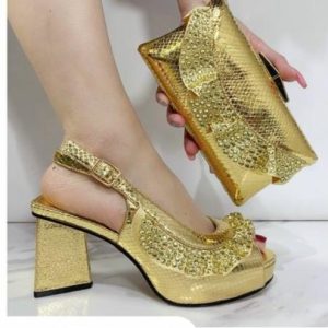 Matching Shoe and purse