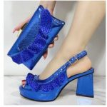 Matching Shoe and purse