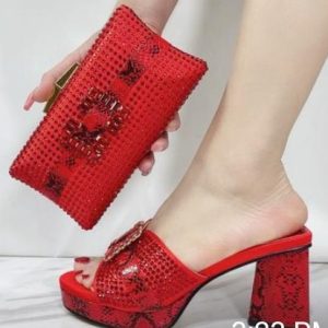 Matching Shoe and bag